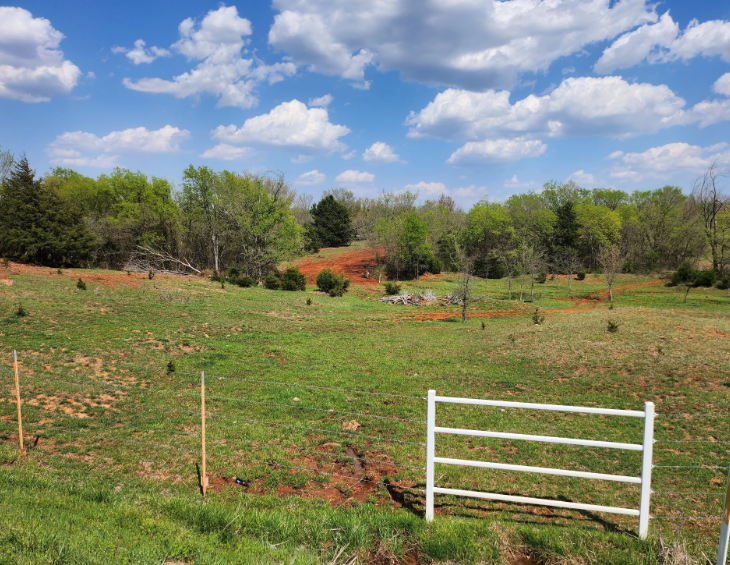 A grassy pasture with patches of red earth, framed by trees under a blue sky with white clouds and a white gate.