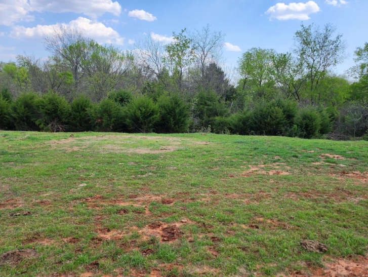 A wide, sunny field with patchy grass and red soil leading to a dense line of green trees under a blue, cloudy sky.