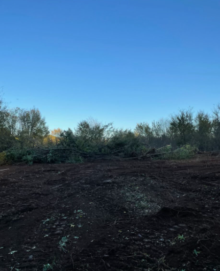 A cleared, dark soil lot bordered by a dense line of trees under a clear blue sky.