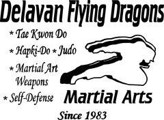 Delavan Flying Dragons Martial Arts