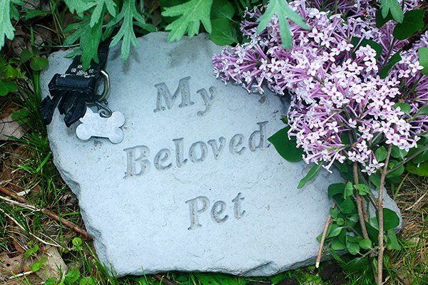 Pet monuments