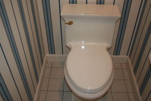 Lemoyne master bathroom