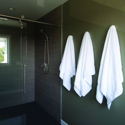 Hershey/Hummelstown modern bathroom