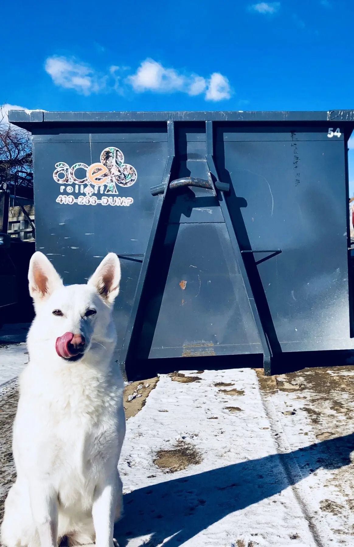 Baltimore Dumpster Rental