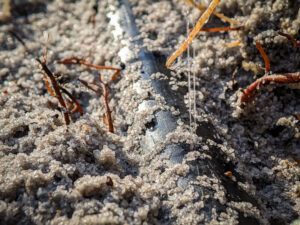 A black plastic pipe partially buried in coarse, granular sand with some small twigs nearby.