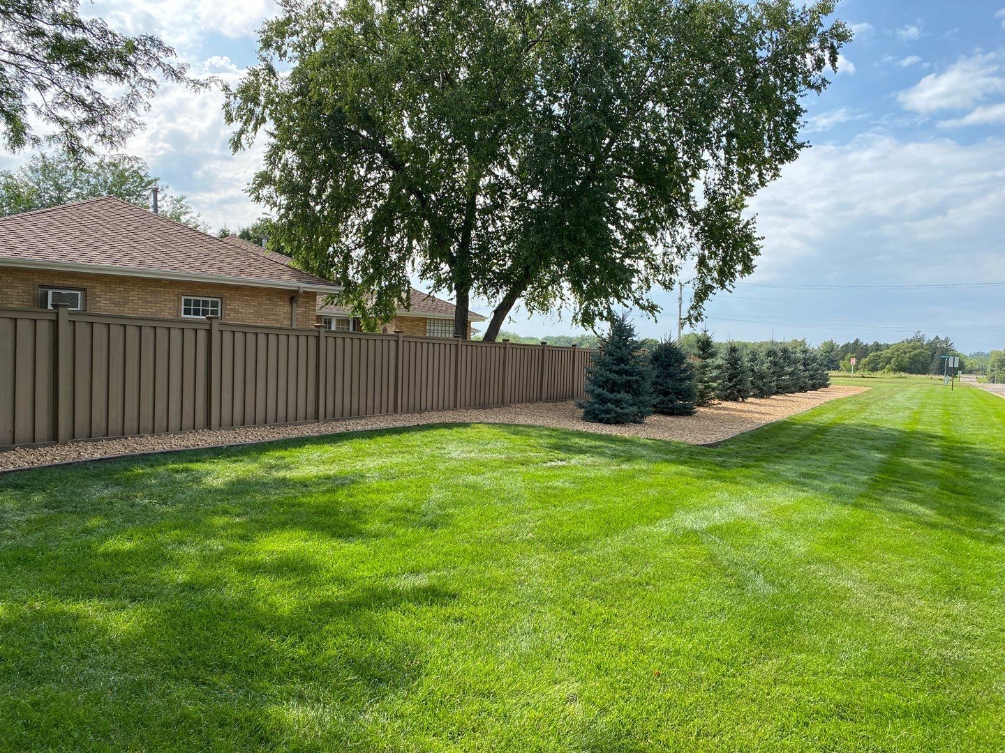 A brown privacy fence borders a lush green lawn, with a row of small evergreen trees and a large shade tree in the back.