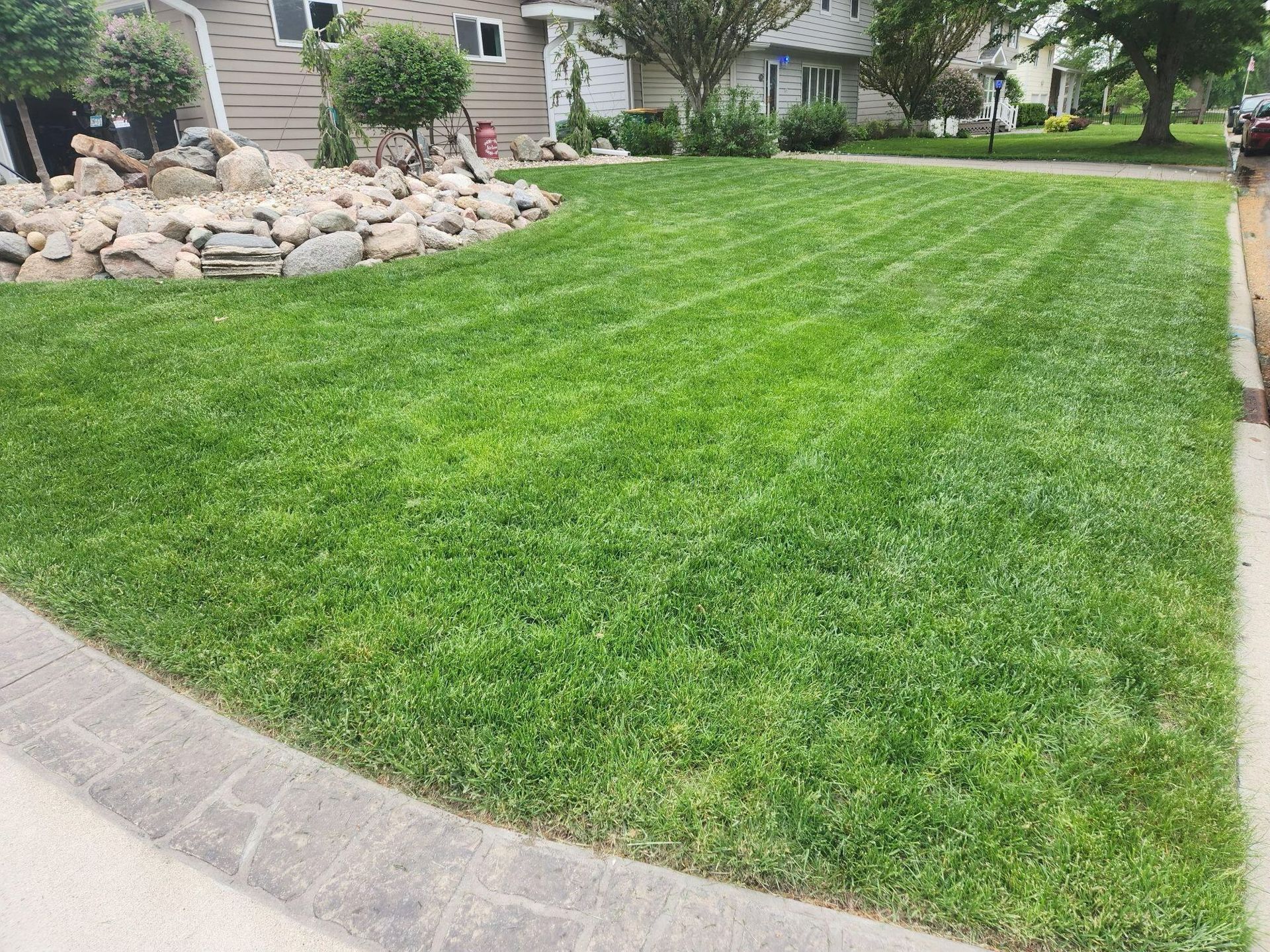 A neatly mowed residential lawn with a stone rock garden on the left and a paved walkway in the foreground.