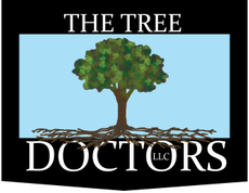 The Tree Doctors LLC - Logo