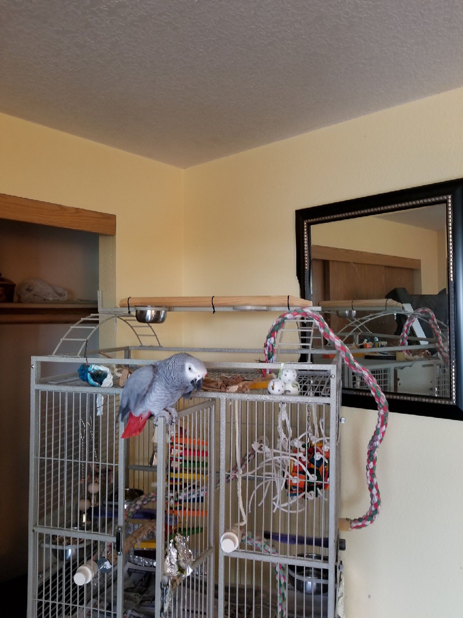 solely-solomon-aviaries-gallery-068