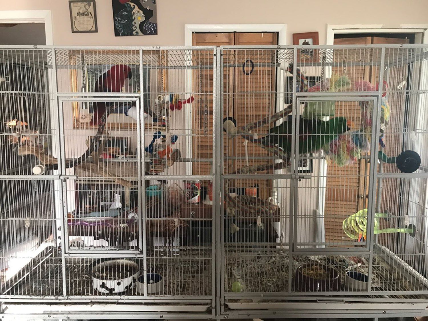 solely-solomon-aviaries-gallery-067