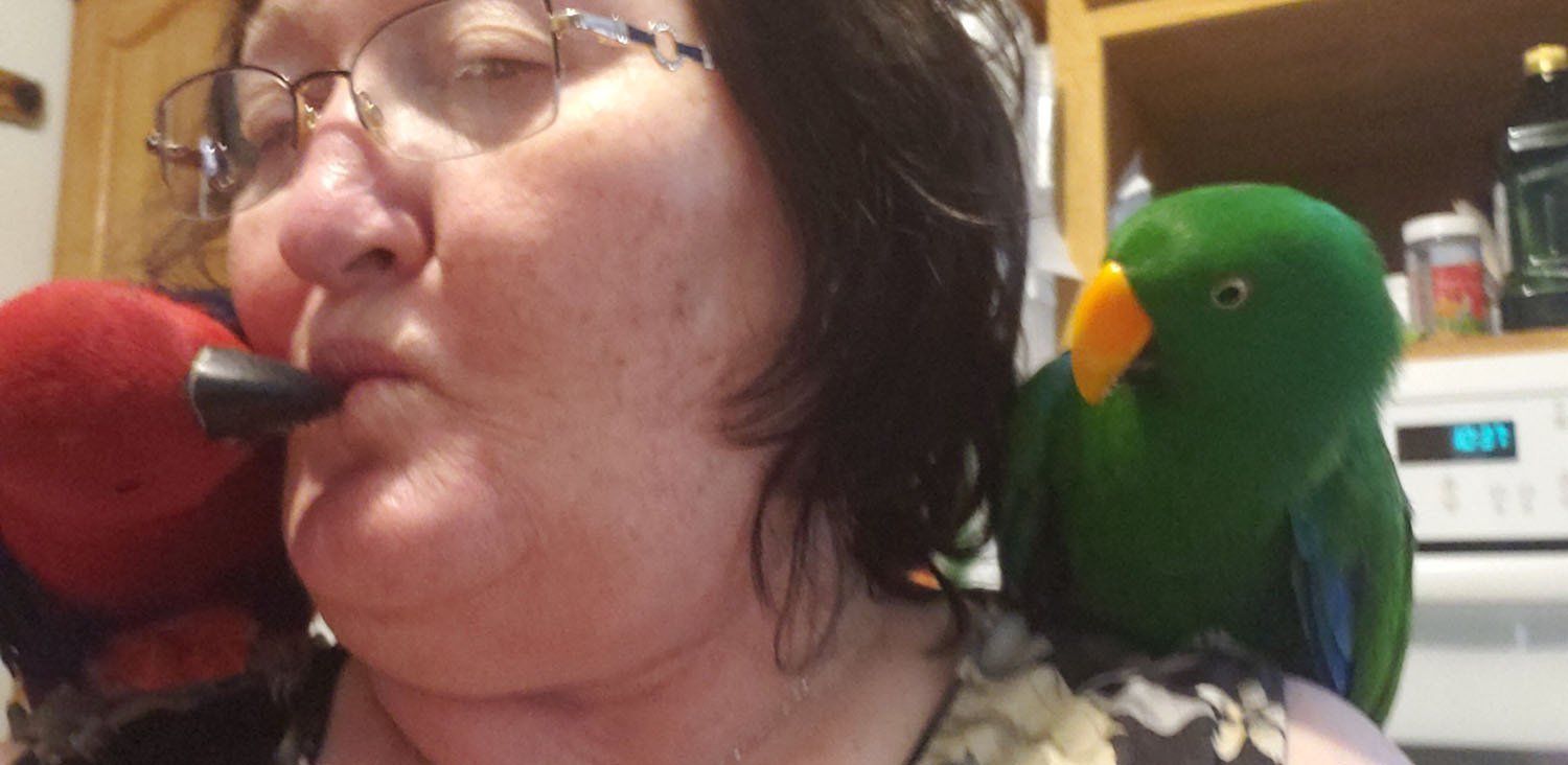 solely-solomon-aviaries-gallery-084