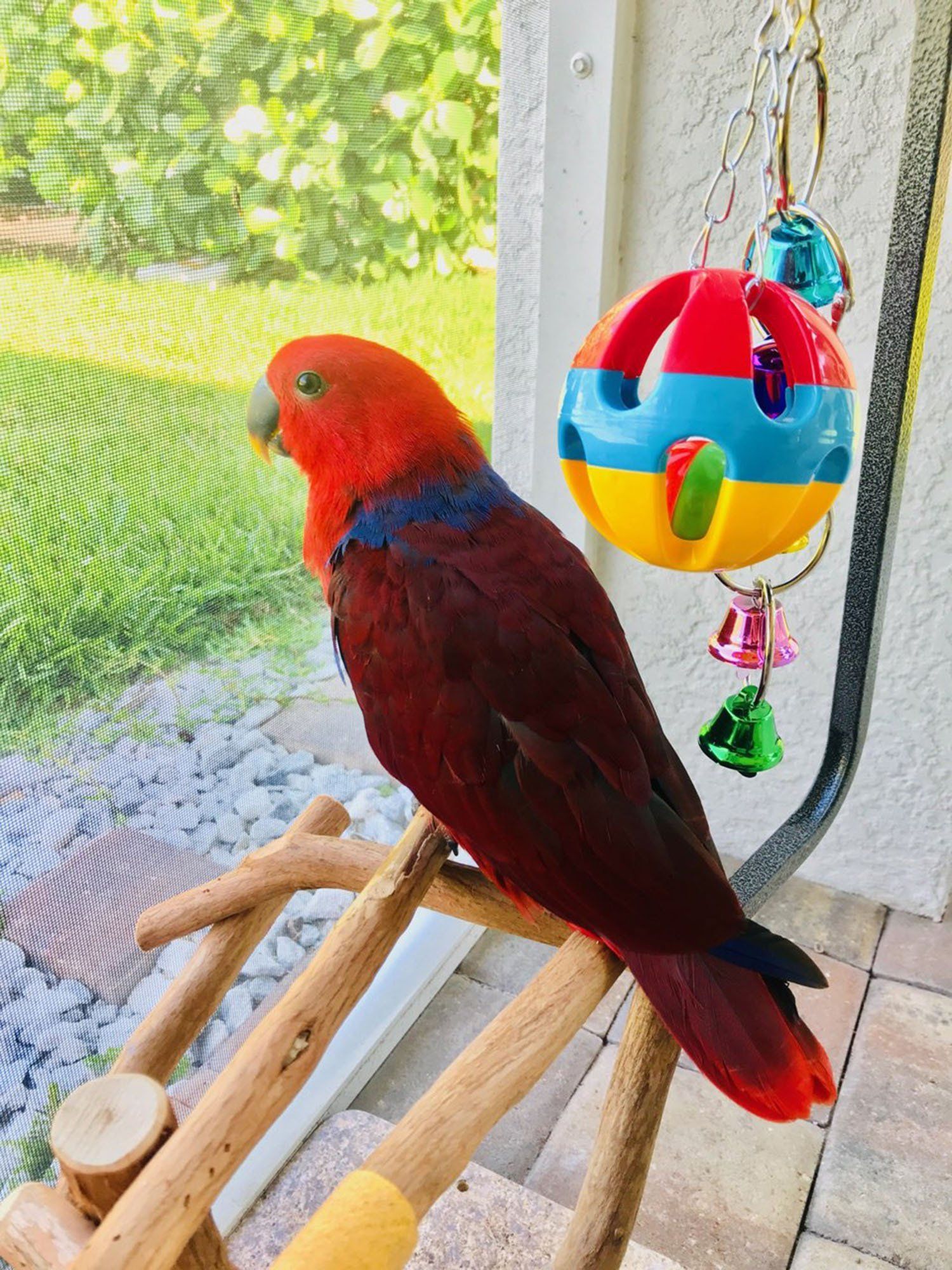 solely-solomon-aviaries-gallery-038