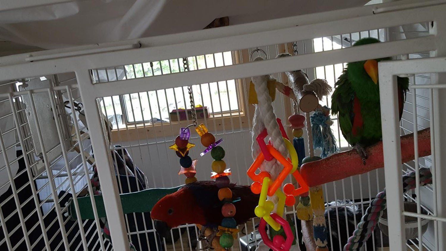 solely-solomon-aviaries-gallery-065