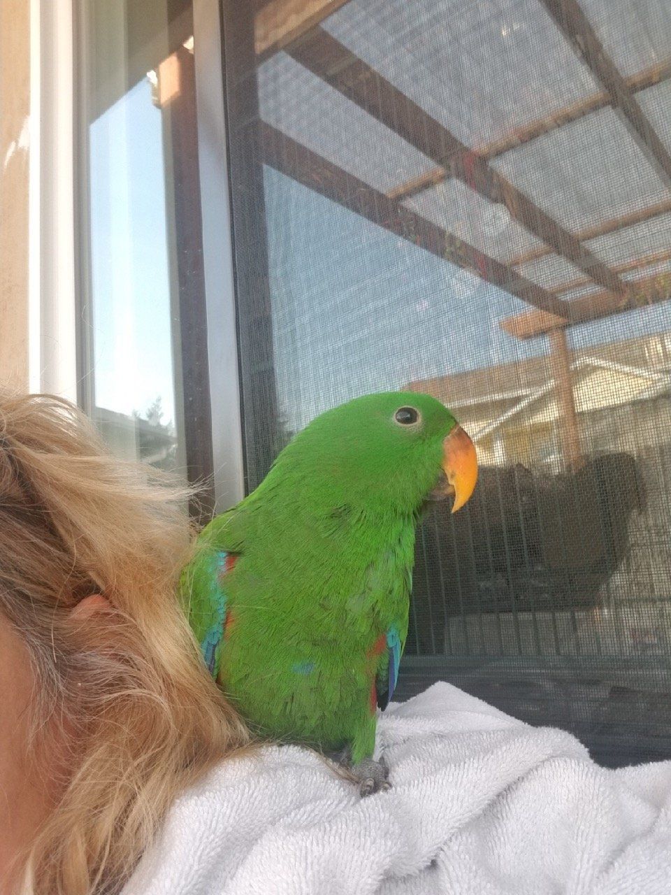 solely-solomon-aviaries-gallery-086