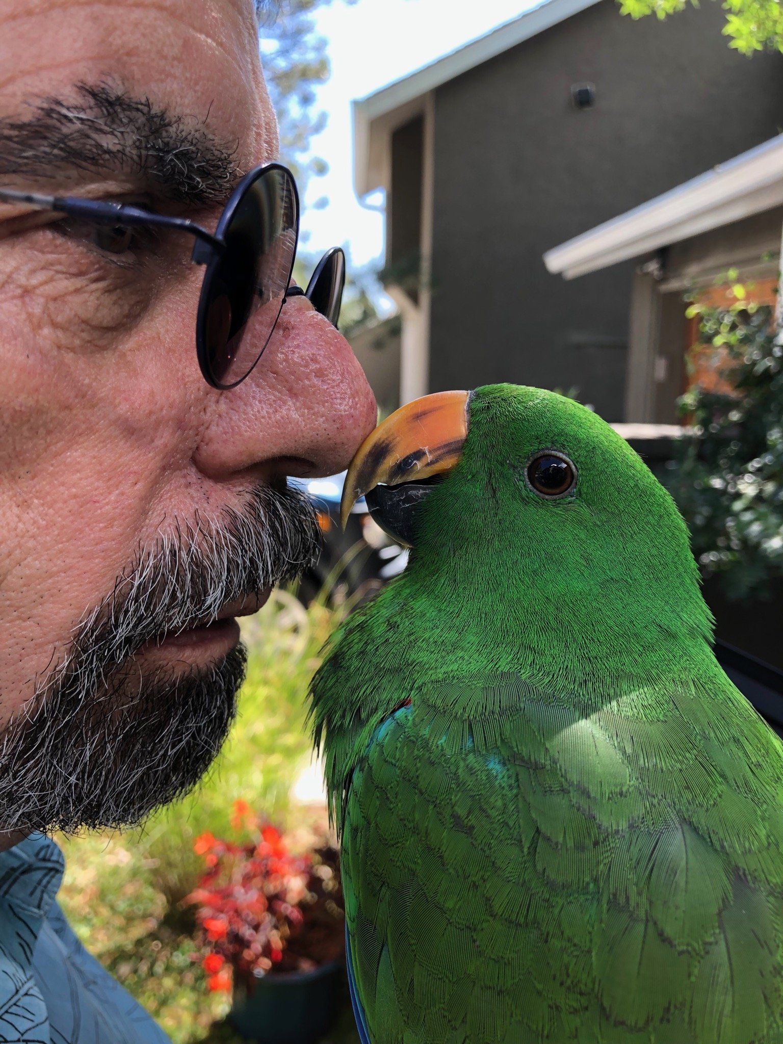 solely-solomon-aviaries-gallery-076