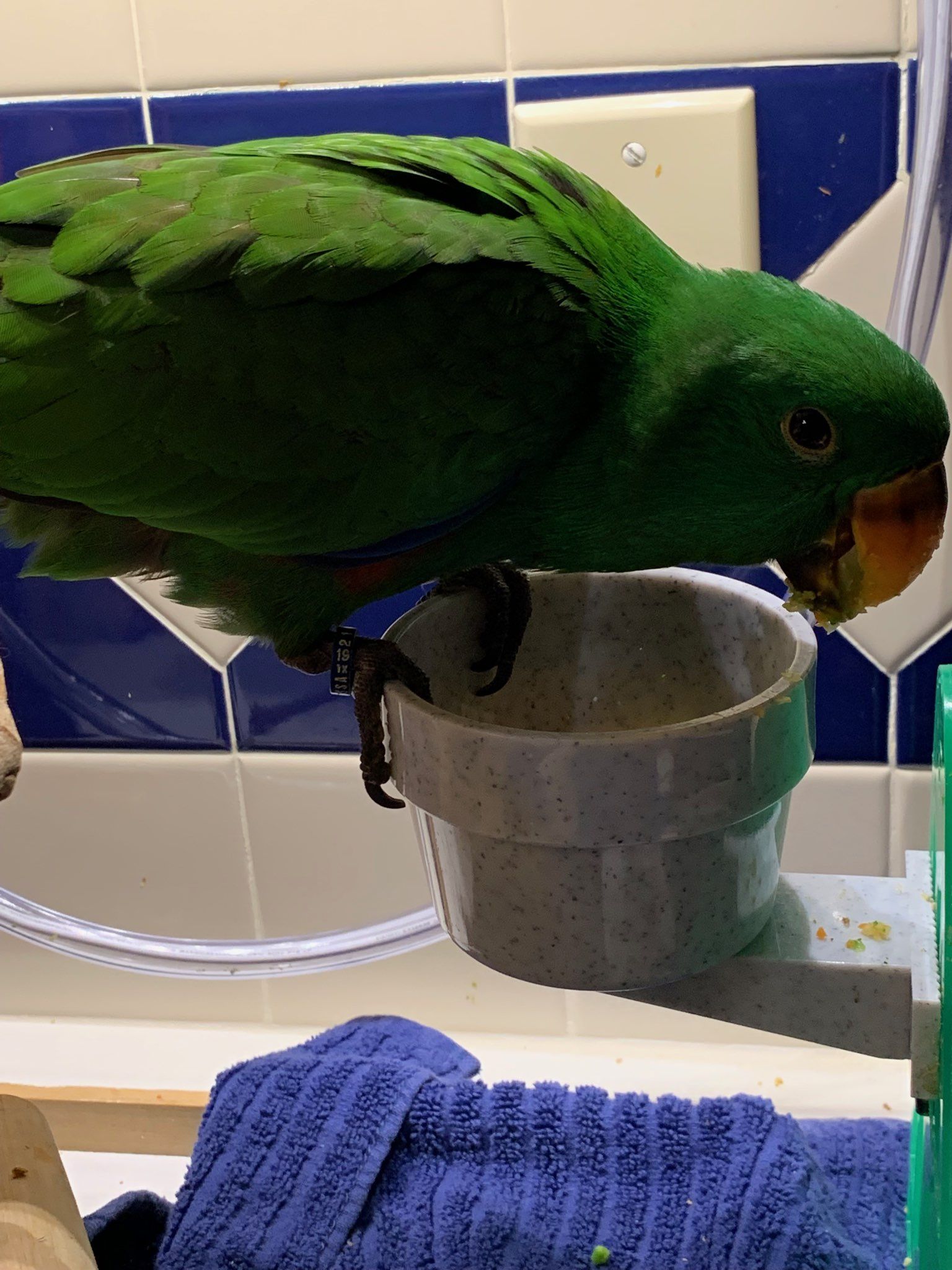 solely-solomon-aviaries-gallery-036