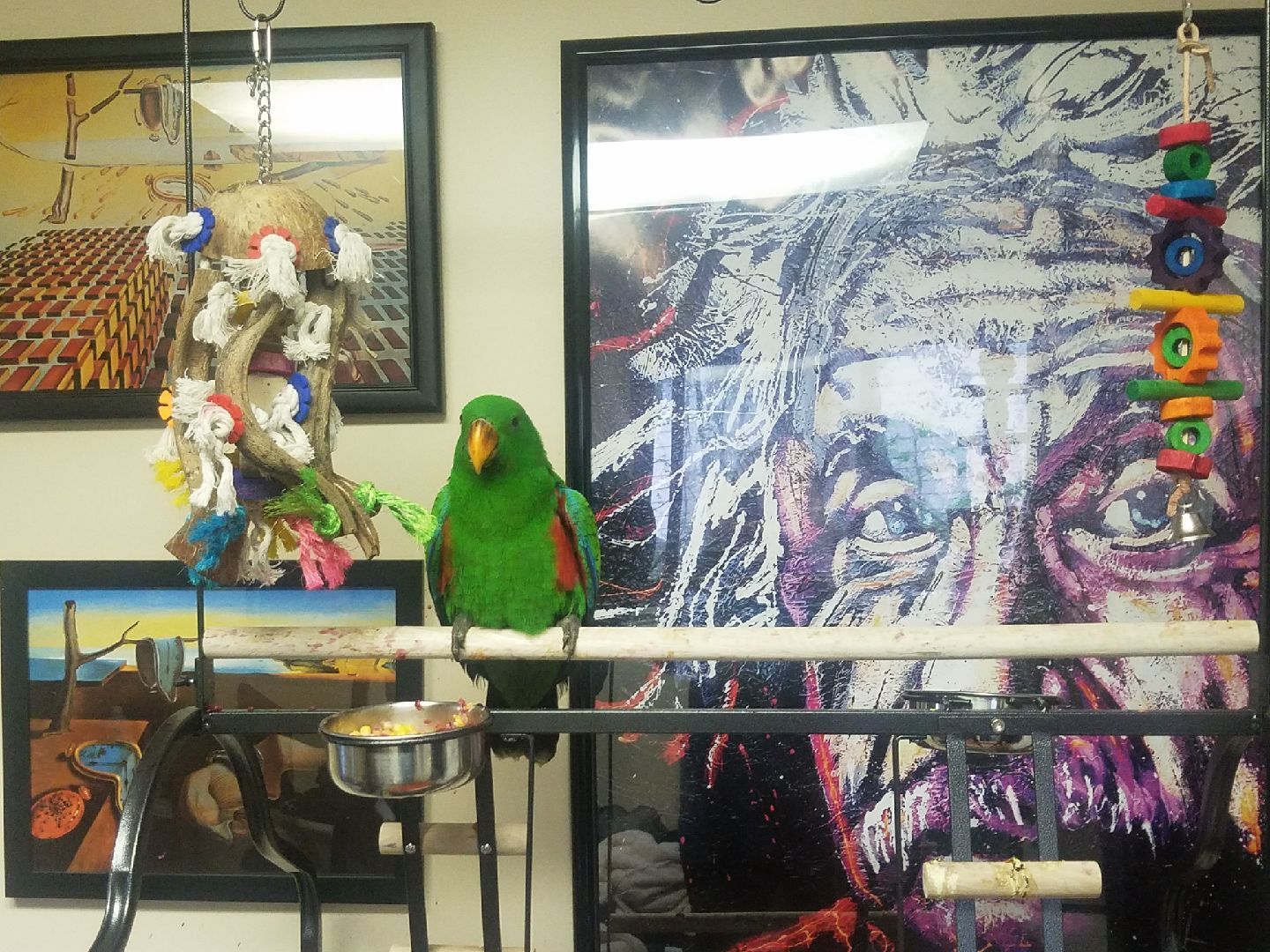 solely-solomon-aviaries-gallery-035