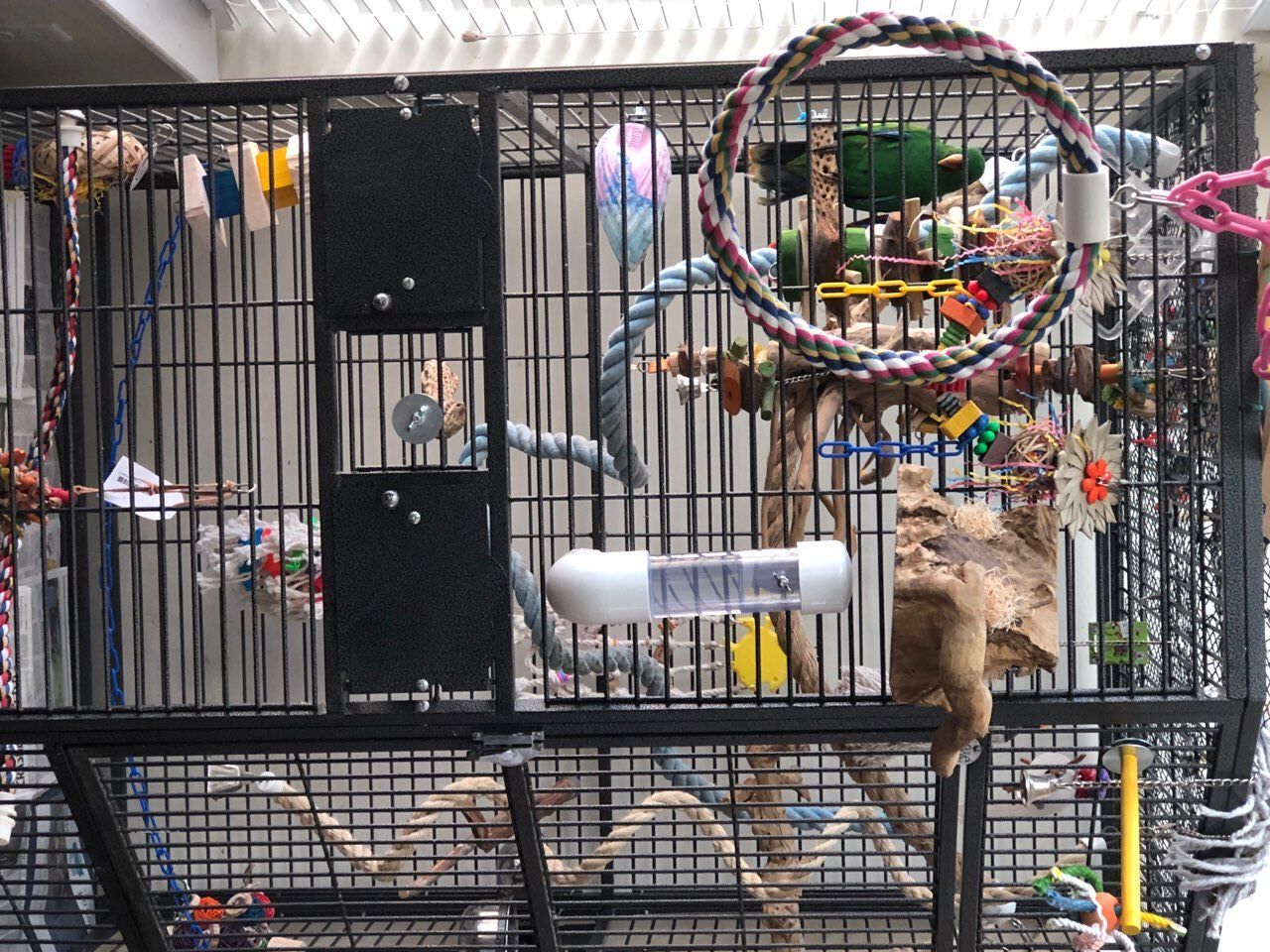 solely-solomon-aviaries-gallery-064