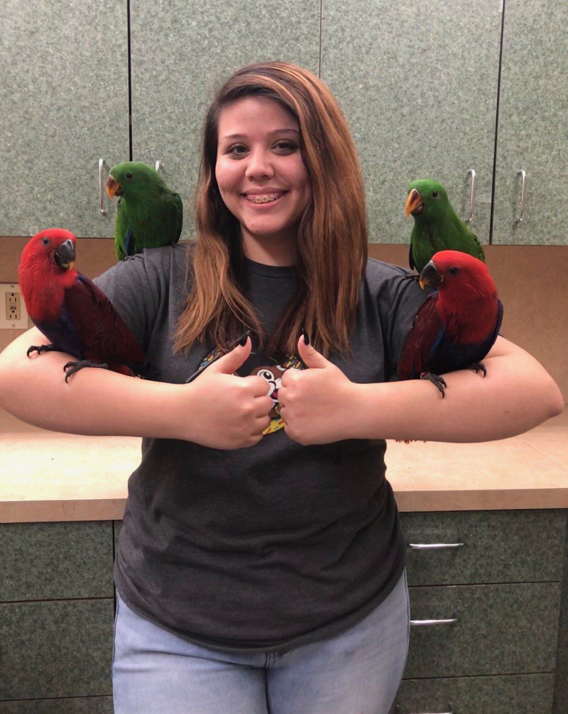 solely-solomon-aviaries-gallery-077