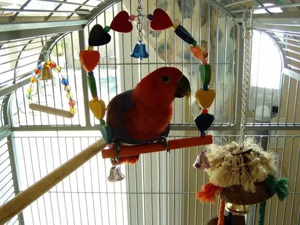 solely-solomon-aviaries-gallery-031