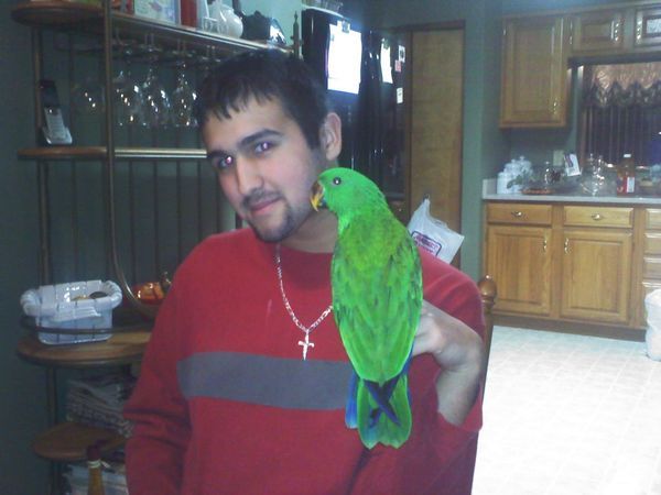 solely-solomon-aviaries-gallery-085