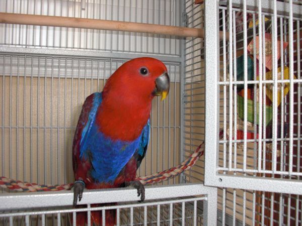 solely-solomon-aviaries-gallery-025