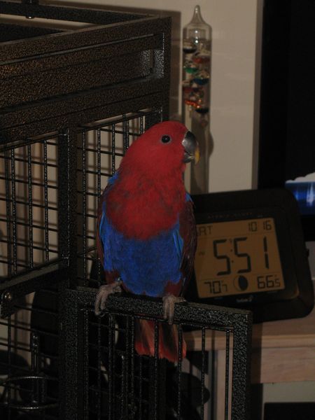 solely-solomon-aviaries-gallery-024