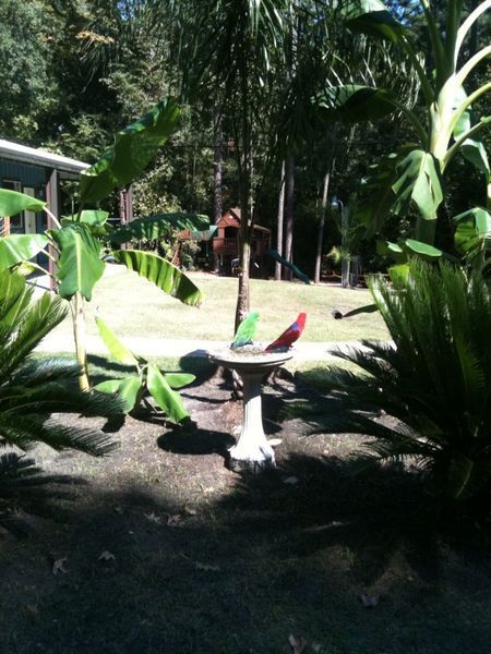 solely-solomon-aviaries-gallery-074