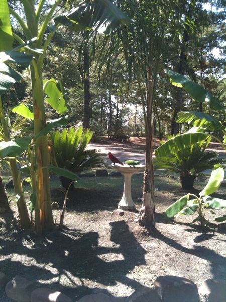 solely-solomon-aviaries-gallery-073