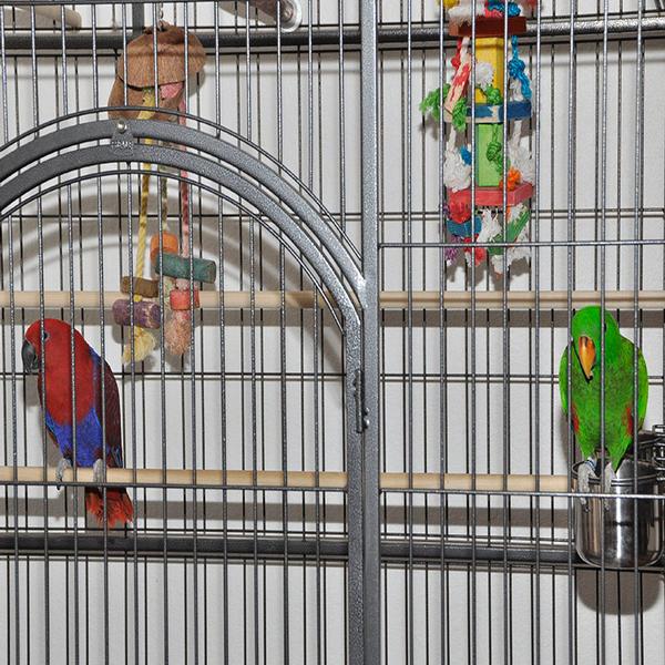 solely-solomon-aviaries-gallery-070