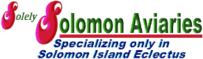 Solely Solomon Aviaries logo