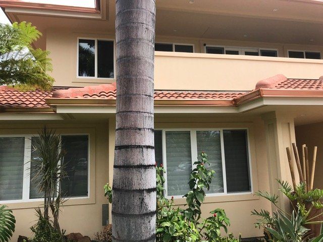 Gutter  Services