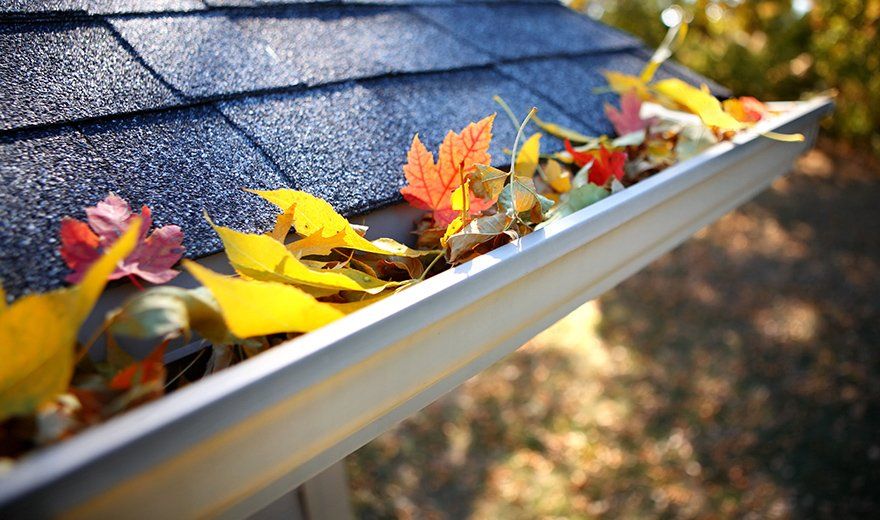 Gutter Cleaning