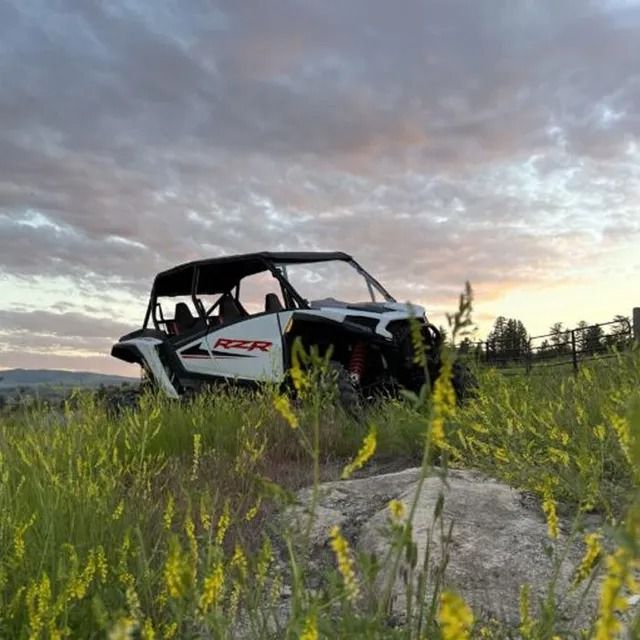 White Polaris RZR side-by-side vehicle in a field of yellow wildflowers with a cloudy sky.