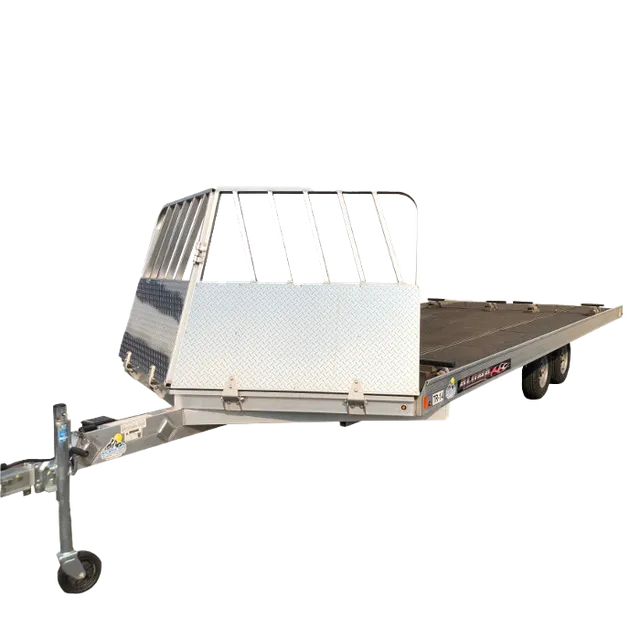 Silver flatbed trailer with front guard and ramp, isolated on white.