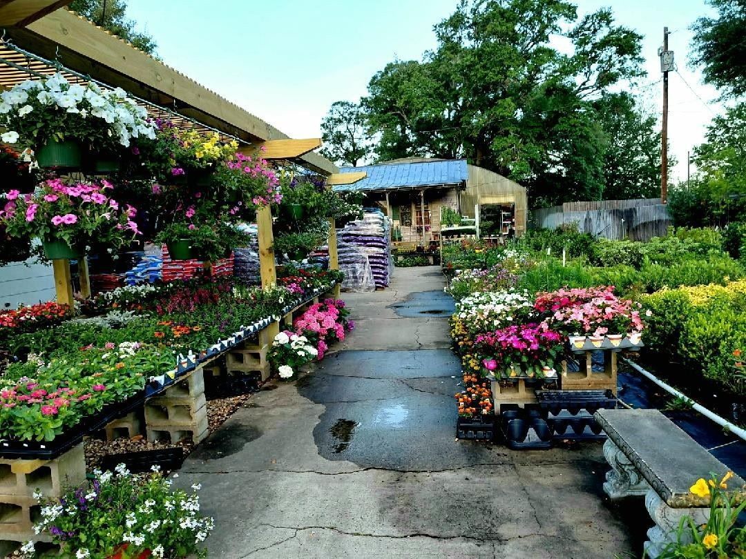 Flower market aisle with colorful potted plants along a wet pathway outdoors