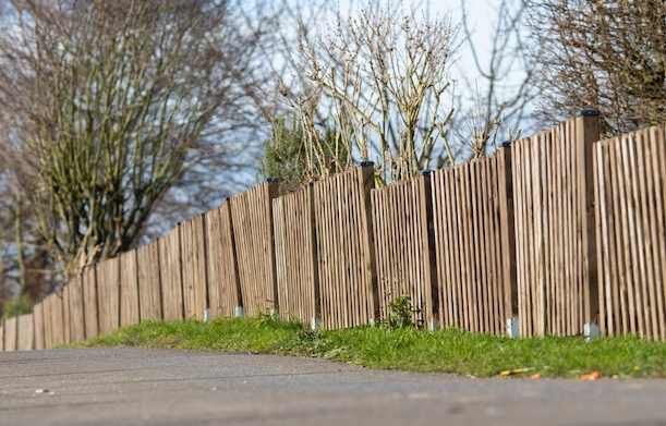 Brown bamboo fence along a paved path, with trees in the background.