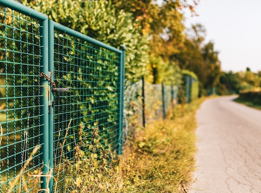 Green chain-link fence and gate with chain, bordering a road with blurred trees and foliage.