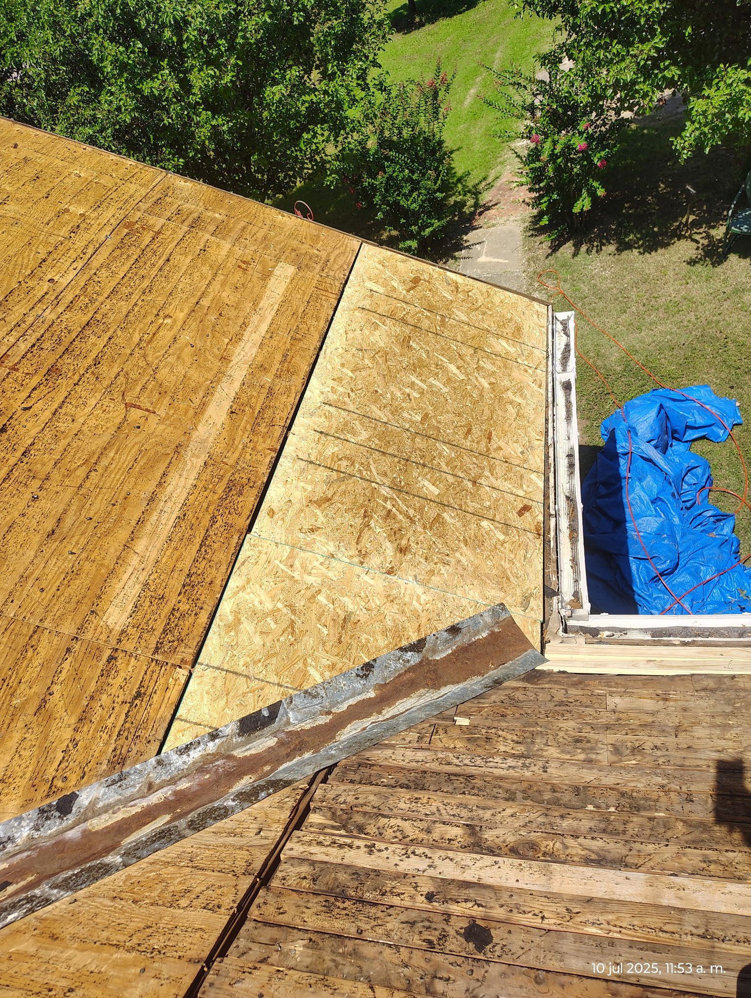 Rooftop with exposed sheathing and flashing, blue tarp, and trees in background.