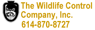 The Wildlife Control Company, Inc. - Animal Control in Dublin, OH