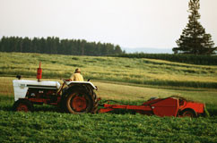 Tractor in the farm