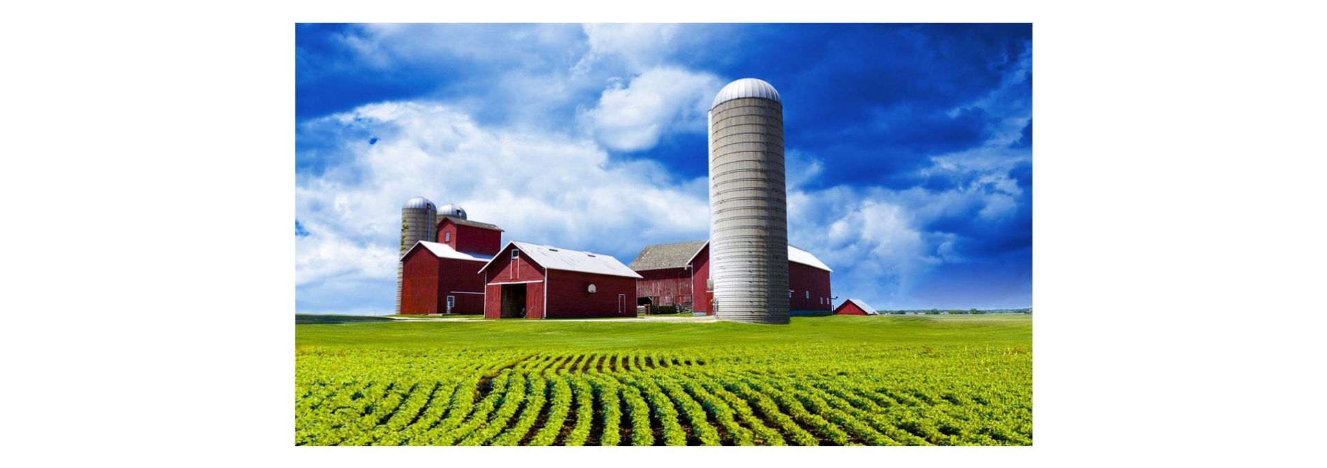 Farm land