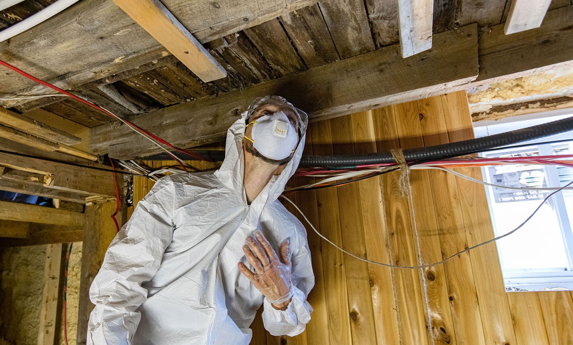 Mold Detection & Remediation Specialists, Inc