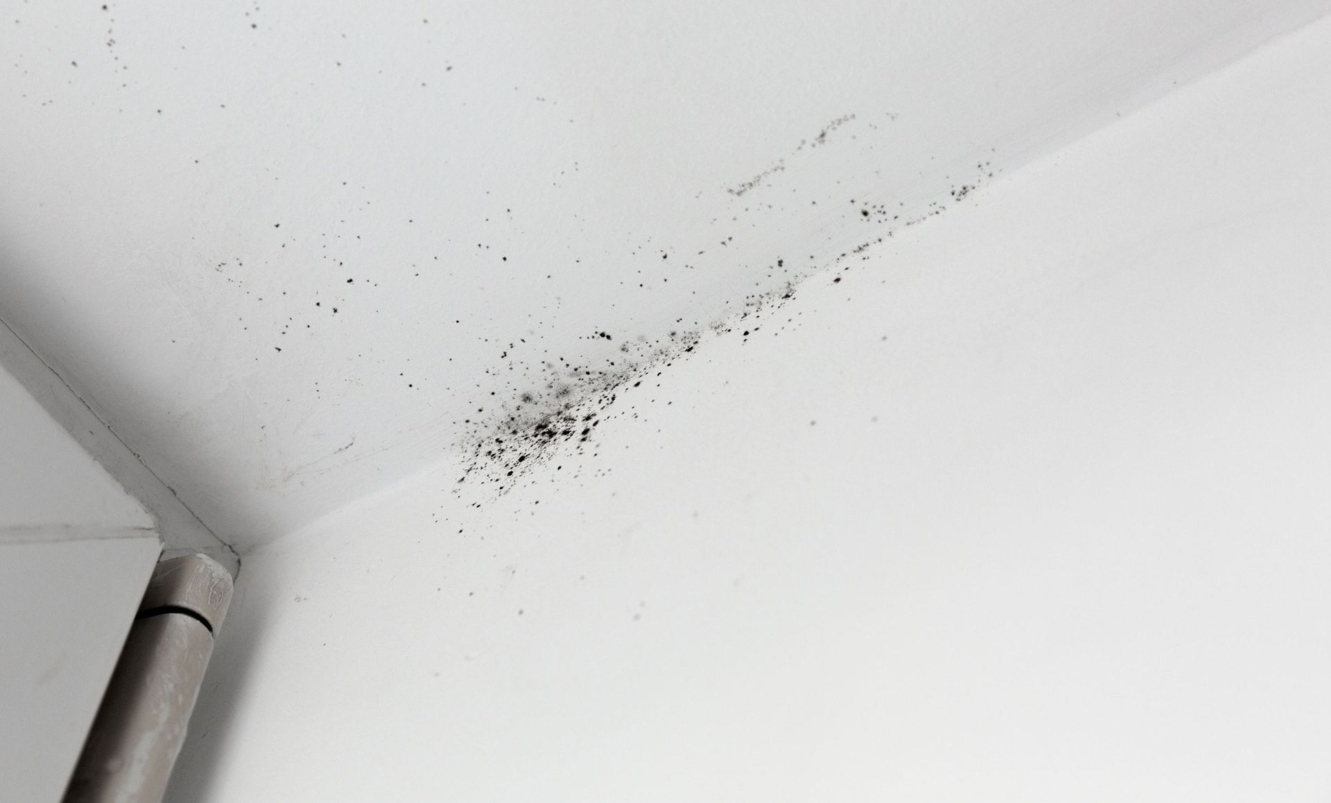 Mold Detection & Remediation Specialists, Inc