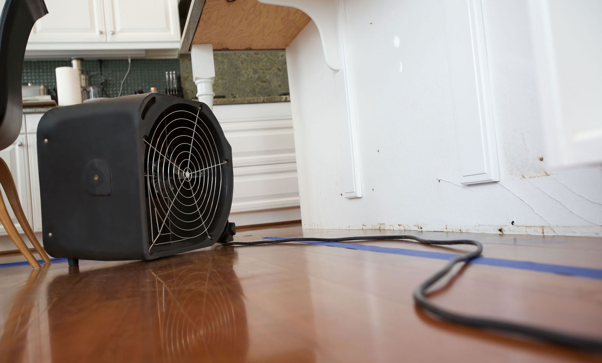 Mold Detection & Remediation Specialists, Inc