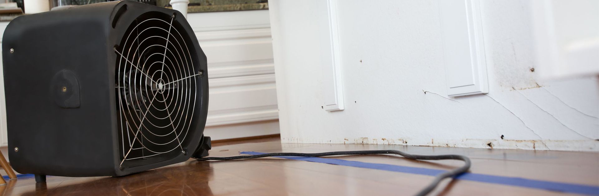 Mold Detection & Remediation Specialists, Inc