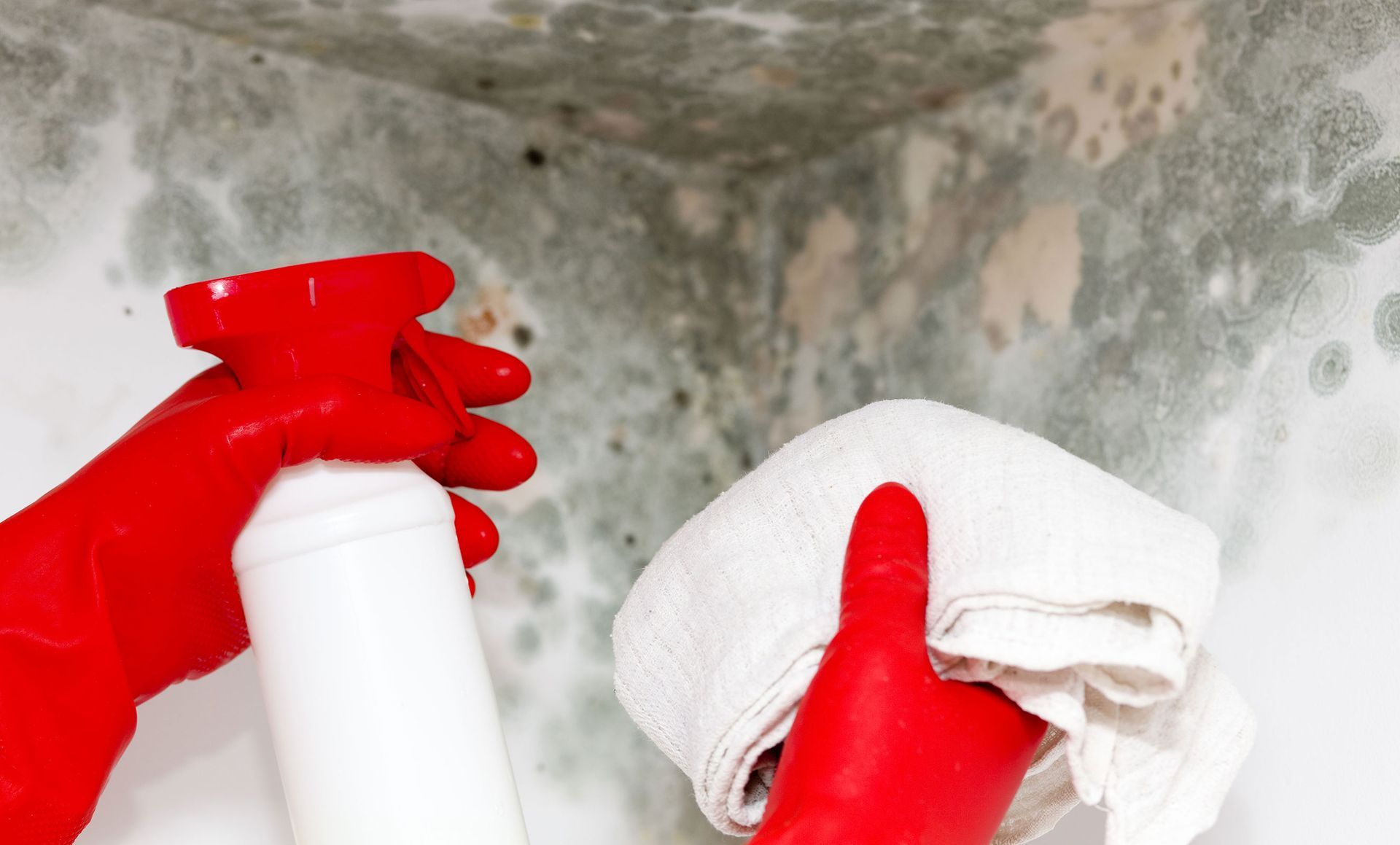 Mold Detection & Remediation Specialists, Inc