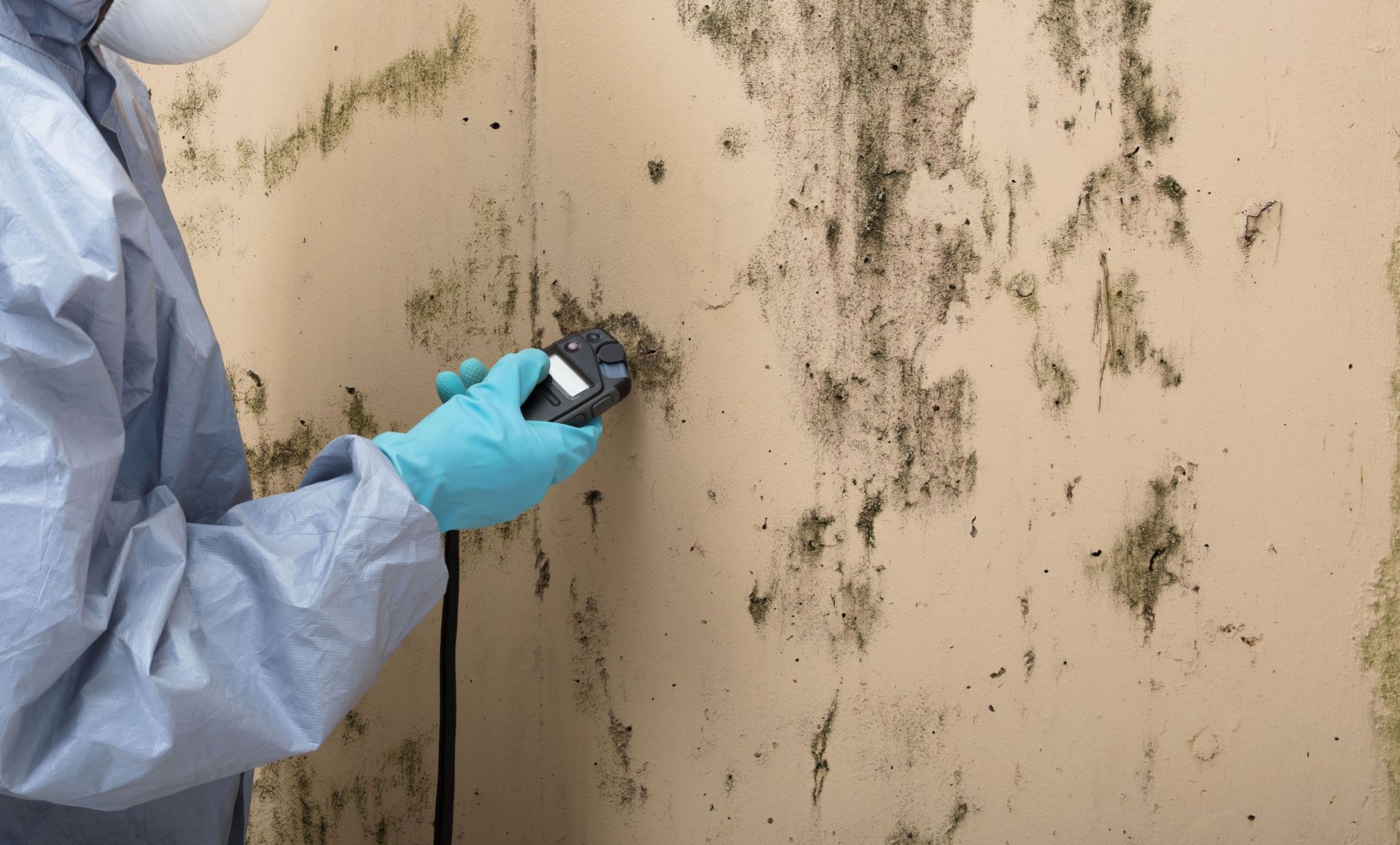 Mold Detection & Remediation Specialists, Inc