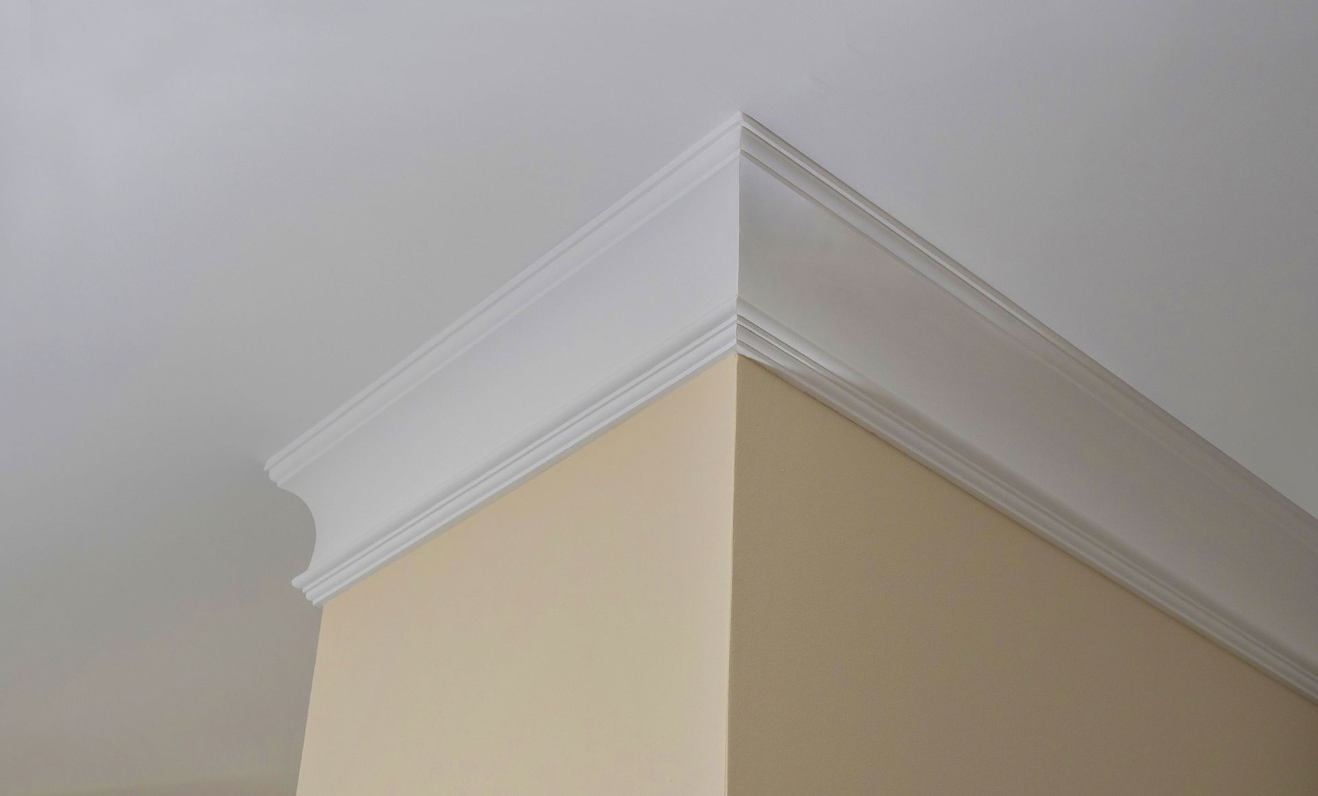 Mold Detection & Remediation Specialists, Inc