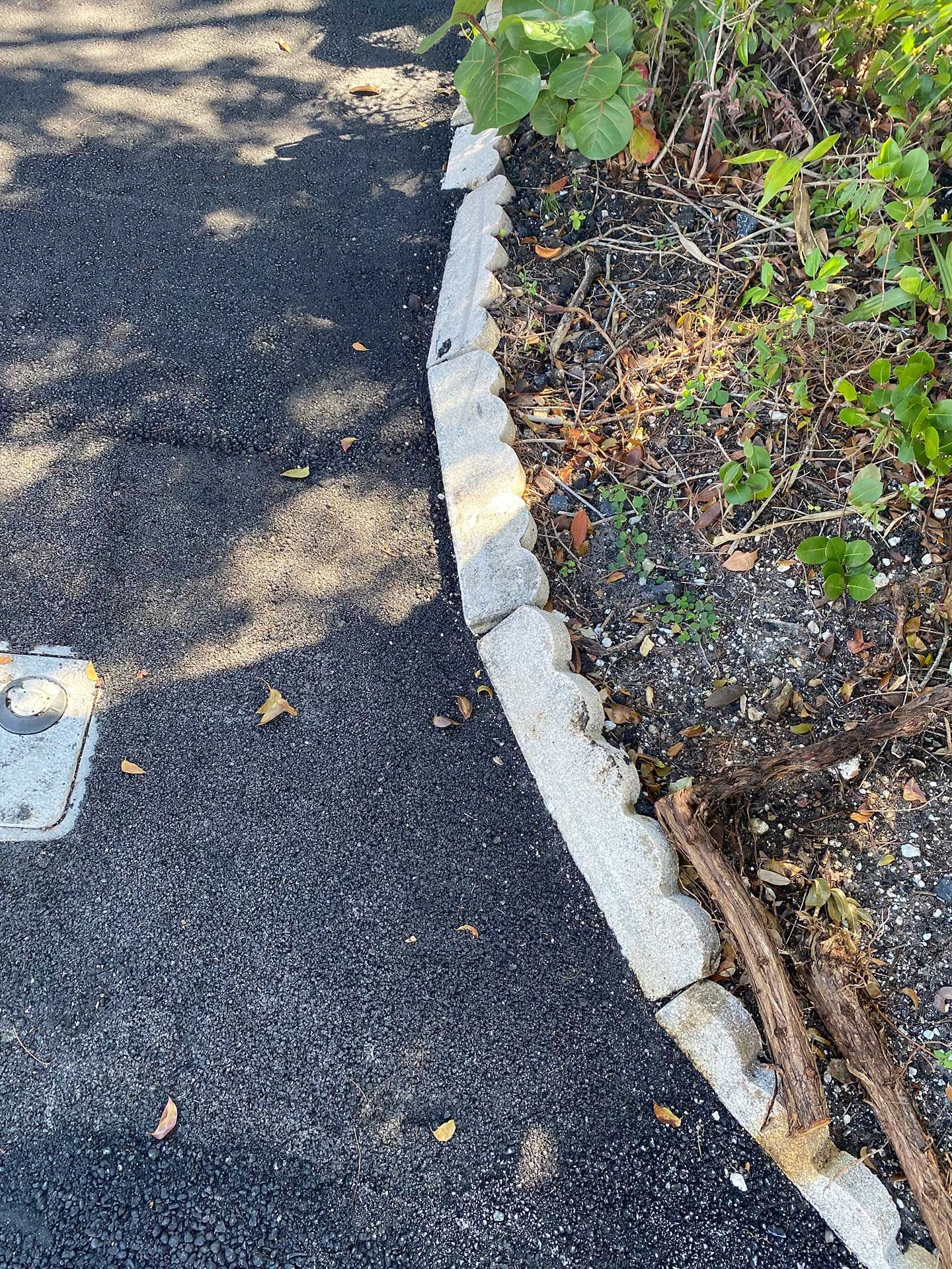 a concrete curb on the side of a road next to a bush